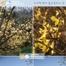 김밥클릭 이미지