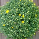 대광농원 이미지