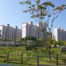 풍기동 447 Daum카페