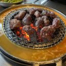 마포갈매기 이미지