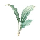 은성가든 이미지