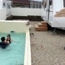 제주 인 포항 이미지