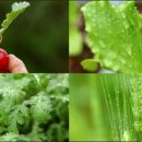 금강요양병원 이미지