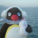 혜화수산