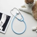 장기가축병원 이미지