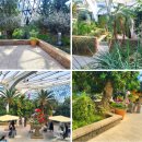 서울식물원 이미지