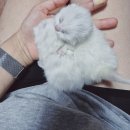 홈브리딩 이미지