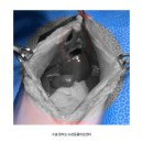 [평택 동물병원] 고양이 횡격막허니아 탈장 PPDH 수술 후기