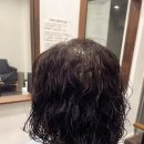 에스에스헤어 이미지