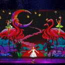 뮤지컬 이상한 나라의 아빠 | 청주 예술의 전당 뮤지컬 이상한 나라의 앨리스 : 완다랜드(자리 팁)