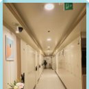 스테이42 이미지