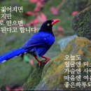 예사랑의원 이미지