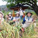 상신2리 경북신문