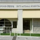 (주)아이비유 네이버블로그