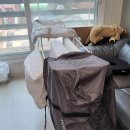 1급세탁 이미지