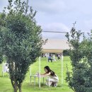 세자매목장 이미지