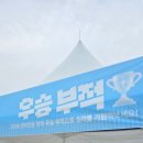 히트앤런