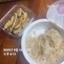 [2025.9월 셋째주일기] 눈이 부시던 그 순간들도 가슴아픈 그대의 거짓말도