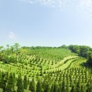 유토피아 이미지