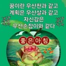 6월11일(화)숭이님들 출석하세용 이미지