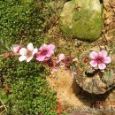 선형농장 이미지