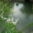 cafe 바람구름 이미지