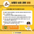 횡단보도 부근 이미지