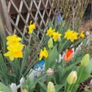 뽑기좋은날 이미지