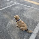 쭌카라반 캠핑장 이미지