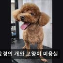 김윤경미용실