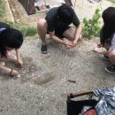 용인자연숲캠핑장 이미지