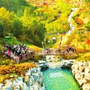 "입장료 0원에 주차까지 되는데 밤엔 8천 명이 몰린다니"... 낮엔 전시, 밤엔 불 켜지는 산림 수목원 이미지