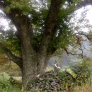 두곡마을 이미지