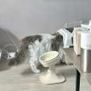 도담메디칼 이미지