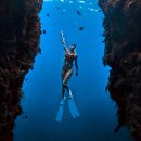 하나정비shop | 보홀 나팔링 셀프투어 방법 1인당 만원 너무 쉬움 꿀팁 가득 도밍고카페 춘삼이 후기