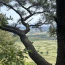 다랑쉬민박 이미지