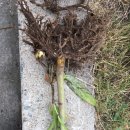 석찬농장 이미지