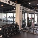 소나무 휘트니스 이미지