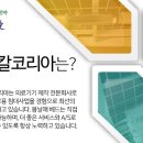 (주)봄날애 네이버블로그