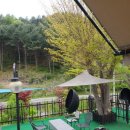 뚜뚜키즈풀빌라앤글램핑 이미지