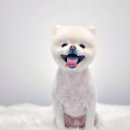 토비네 살롱 이미지