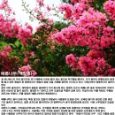 백미사 | [산청]적벽산,백마산 산행후기--- 2019년 7월 28일(일)