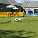 별빛애견펜션 이미지