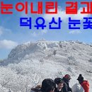 전날 폭설내린 덕유산 눈꽃산행 이미지