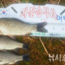 서산IC주유소