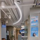 샤인아이안과동물병원 이미지