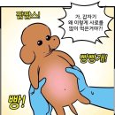 새힘마취통증의학과의원 | 오포 서울치과 사랑니 발치 후기 | 통증•붓기•회복까지 내돈내산 솔직 리뷰