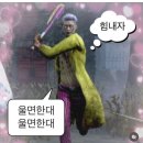 부일동물병원 | 여름이야기와 코모레비
