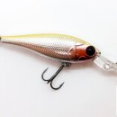 피싱디앤에이(FishingD.N.A.)