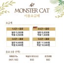 몬스타캣 네이버블로그